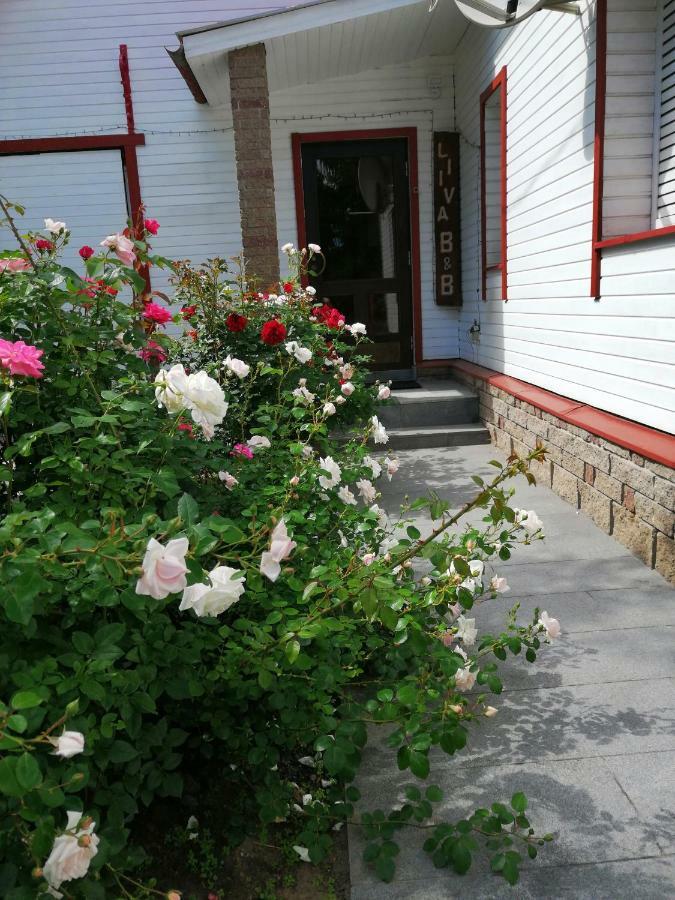 Liiva Guest Accommodation,Free Parking Tartu Exterior photo